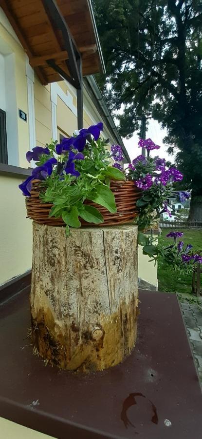 Отель Penzion U Draci Skaly Svojse Экстерьер фото